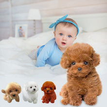 Load image into Gallery viewer, Cute Simulation Puppy Plush Toys Realistic Teddy Dog Lucky, Handmade Realistic Figure Toy Dog Plush Stuffed Anim Soft kids Toys