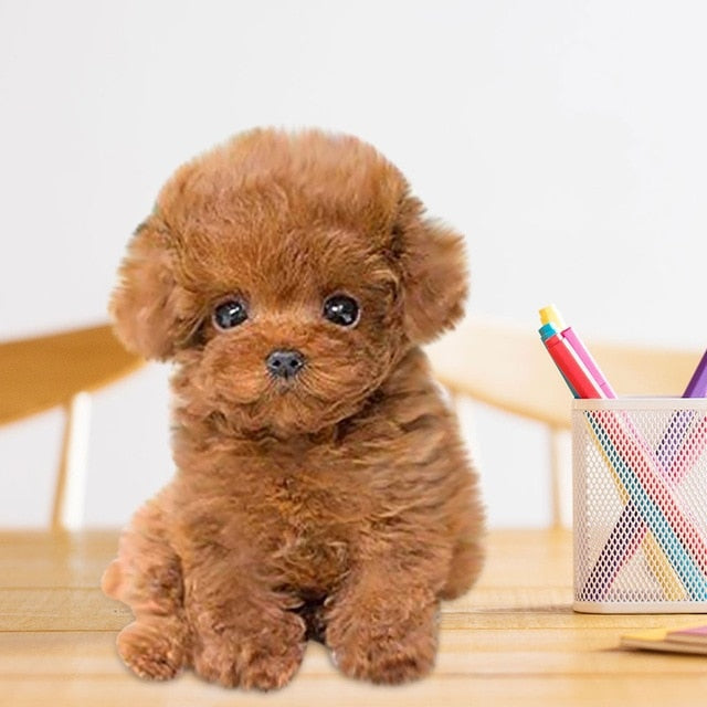 Plush Stuffed Animal Puppy Dog - Emotional Support, Toy - Golden Brown  Poodle - Ultra Soft & Realistic